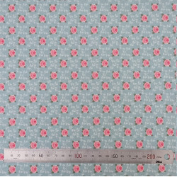 Tissu coton Motif Fleur - Roses quadrillées  (50cm)