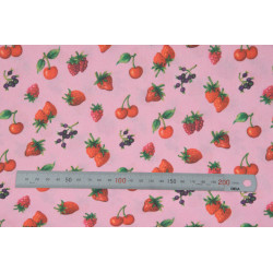 Tissu coton Motif fruit Confiture 4 (50 cm)